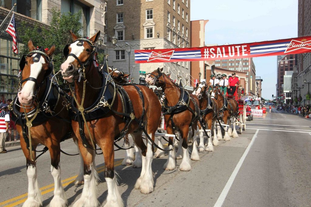 Budweiser Clydesdales Coming to Sulphur Springs June 5th-8th