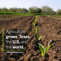 YOUR TEXAS AGRICULTURE MINUTE: Agriculture grows our future! Presented by Texas Farm Bureau’s Mike Miesse