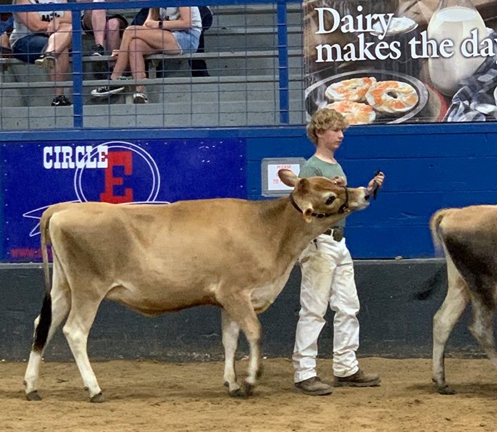 34 Youth Exhibitors Participate in 2019 Dairy Classic Show on Saturday
