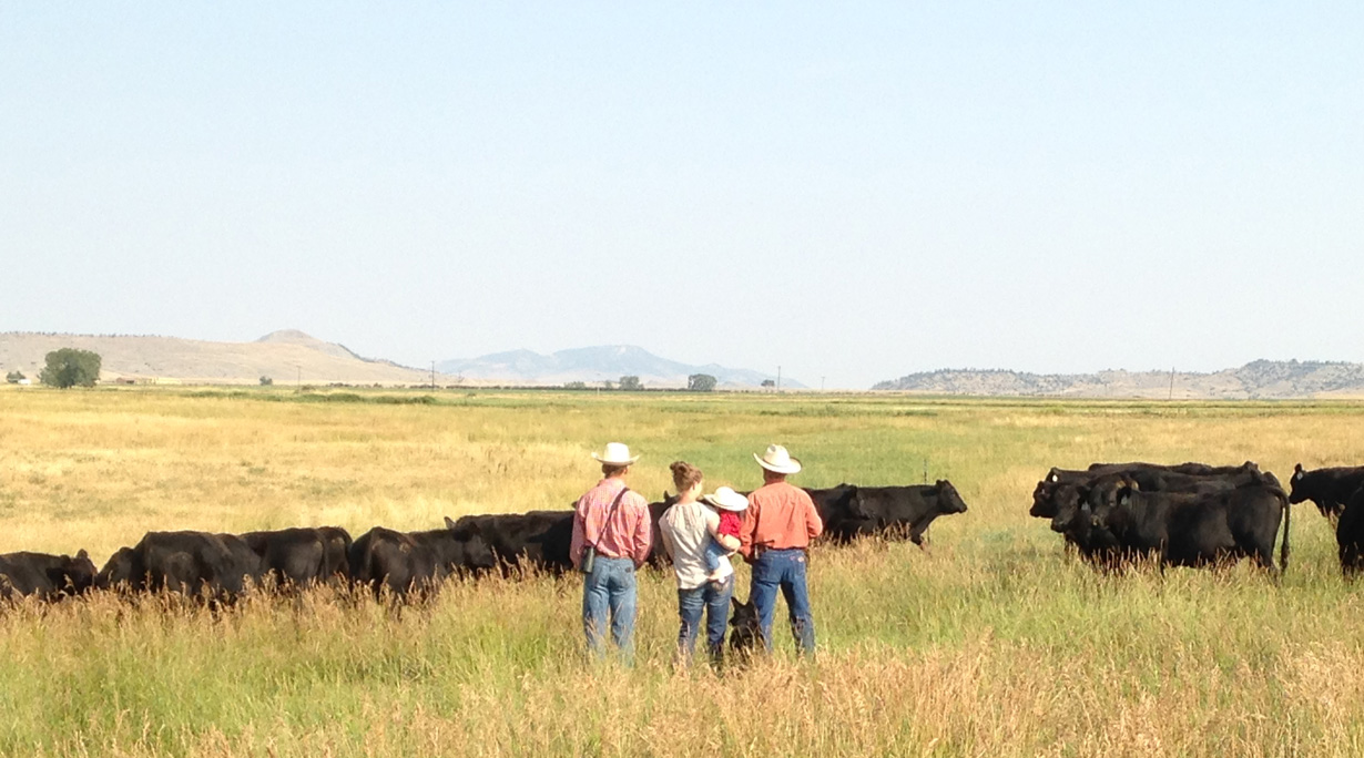 Ranch for Profit Workshop Coming Up on June 29th