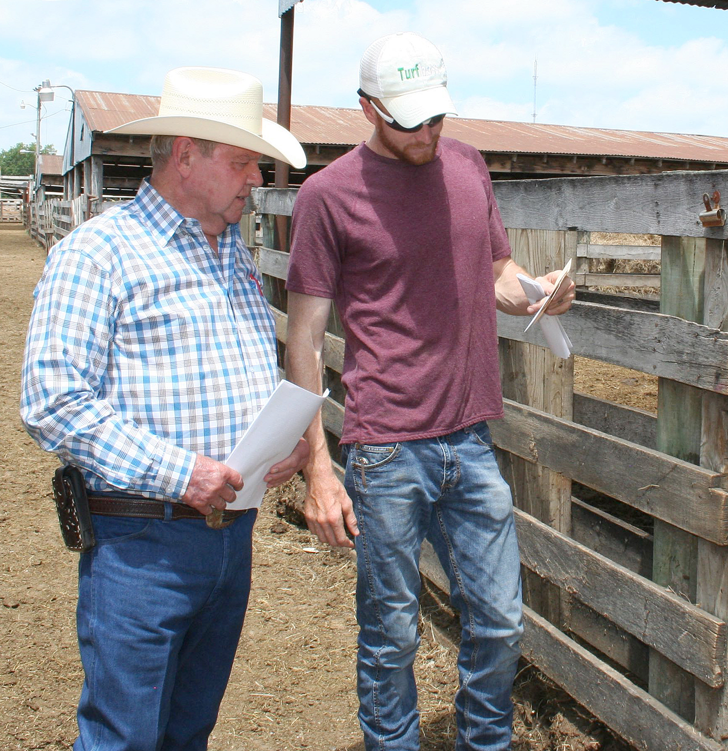 July NETBIO Pre-Conditioned Calf and Yearling Sale Features Sale of 5,520 Head of Cattle
