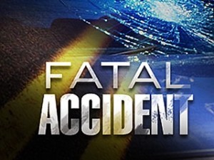 Rains County Sanitation Worker Struck by Vehicle This Morning on Highway 19. Pronounced Dead at the Scene.