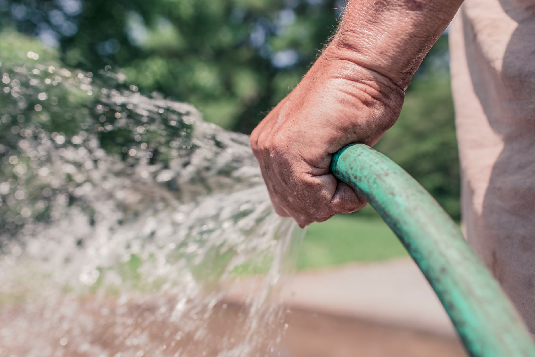 Beat the Heat Watering Tips from Sharon Burnette, Hopkins County Master Gardener