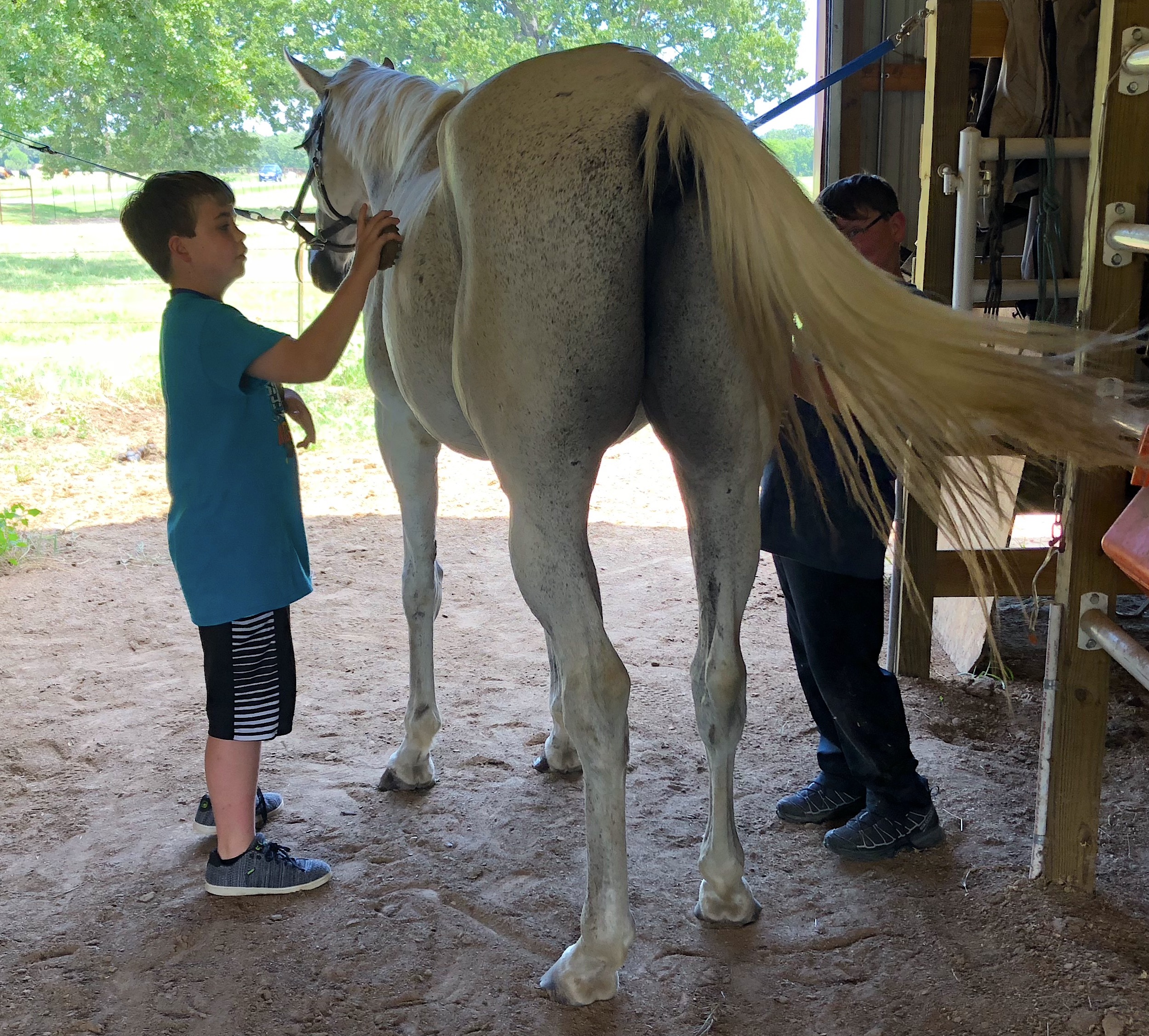 Lake Fork Stables Announces New Non-Profit Horseback Riding Program with Retired Racehorses for Youth of Wood, Hopkins and Rains Counties