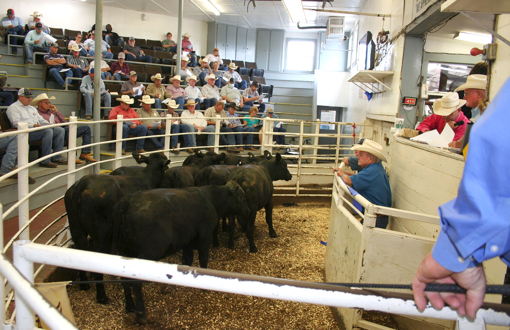 NETBIO Producers Sell 4,634 Head Of Cattle at the September Northeast Texas Beef Improvement Organization (NETBIO) Sale
