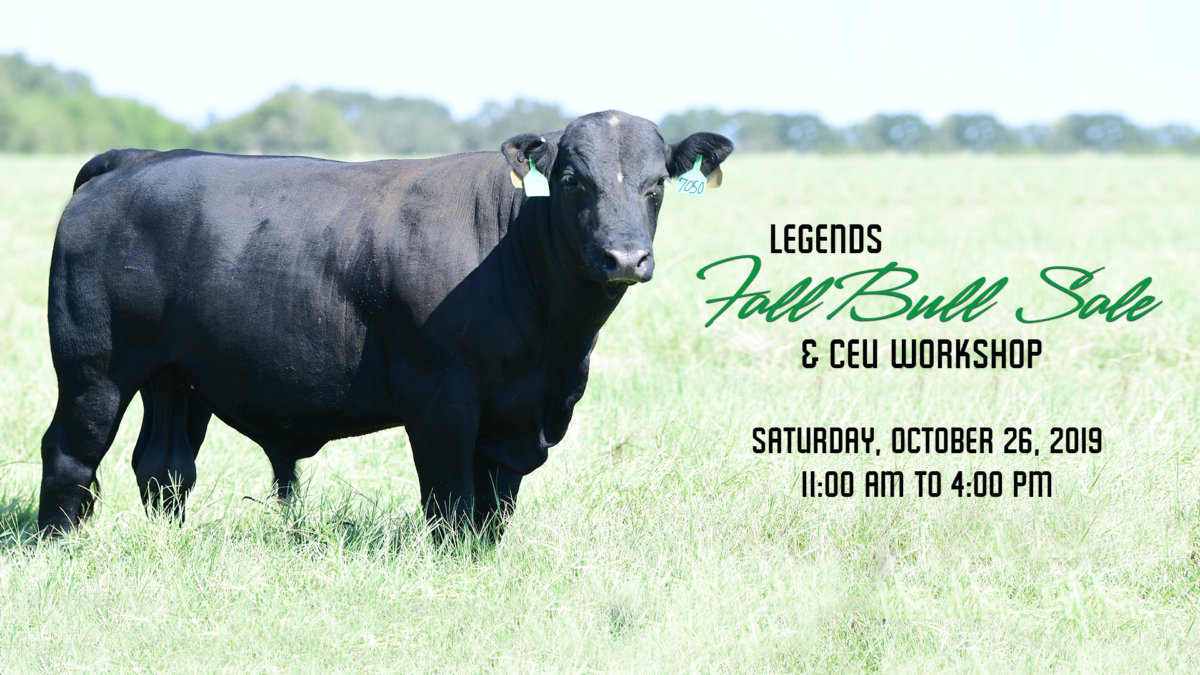 Legends Cattle Company and Texas A&M AgriLife Extension Service Rains County Hosting CEU Workshop in Emory, Texas at Legends’ Fall Bull Sale on Saturday, October 26th