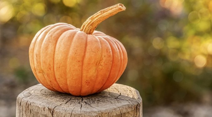 Pumpkins Are, In Fact, A Healthy Fruit