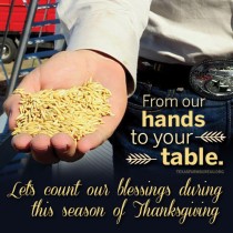 YOUR TEXAS AGRICULTURE MINUTE: Keep the ‘thanks’ in Thanksgiving Presented by Texas Farm Bureau’s Mike Miesse