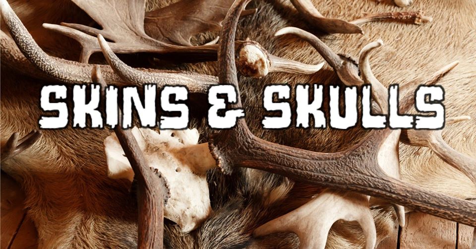 Cooper Lake State Park Hosting ‘Skins and Skulls’ Educational Program on Saturday