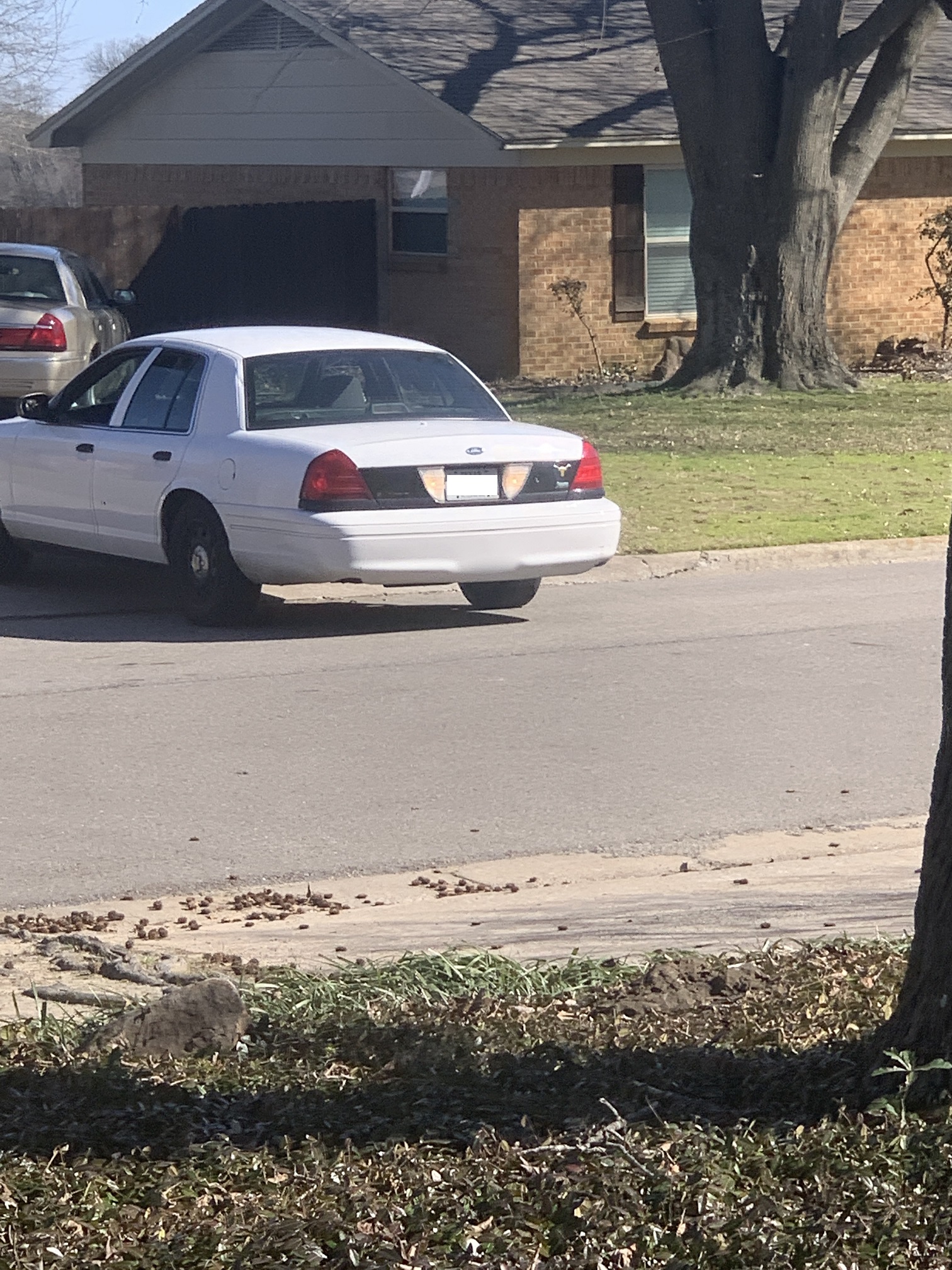 Dallas Man Arrested In Sulphur Springs Neighborhood After SSPD Receives Reports of Him Approaching Children to Help Him Catch Lost Dog