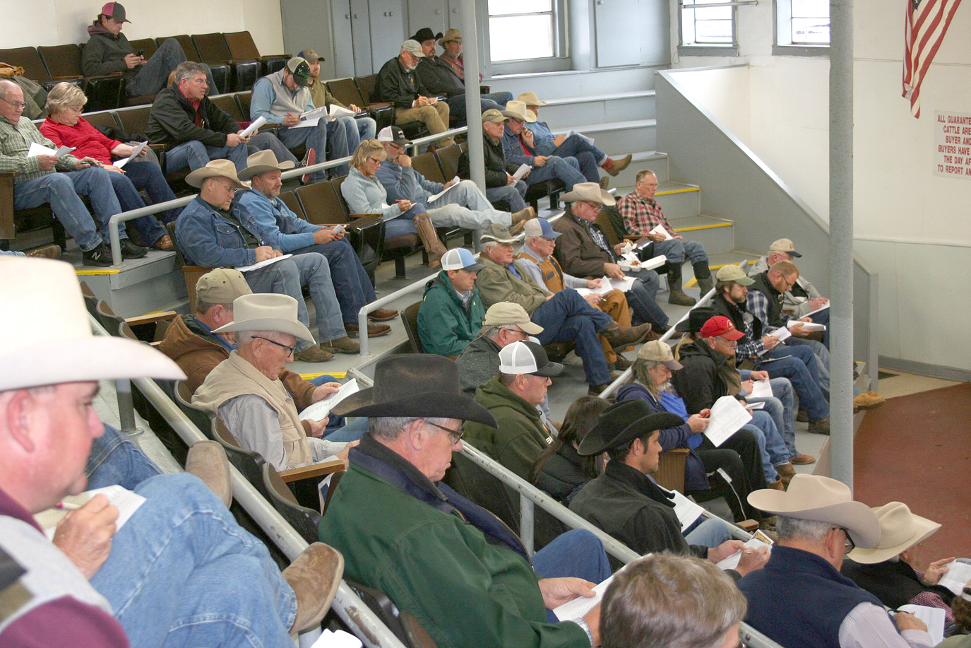 143 Sellers Delivered 2,825 Head of Calves and Yearlings at February Northeast Texas Beef Improvement Organization’s (NETBIO) Pre-Conditioned Calf and Yearling Sale