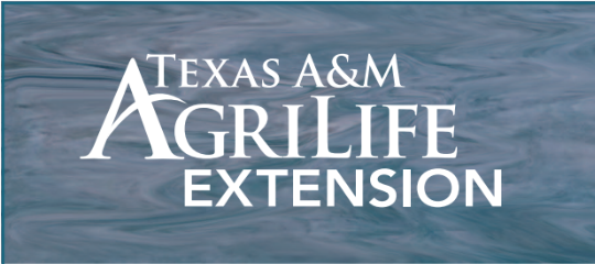 Texas A&M AgriLife Extension Helps Residents to Live Well by Johanna Hicks, Family & Community Health Agent