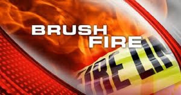 Suspect(s) Set Fire to Brush Pile at Coleman Park