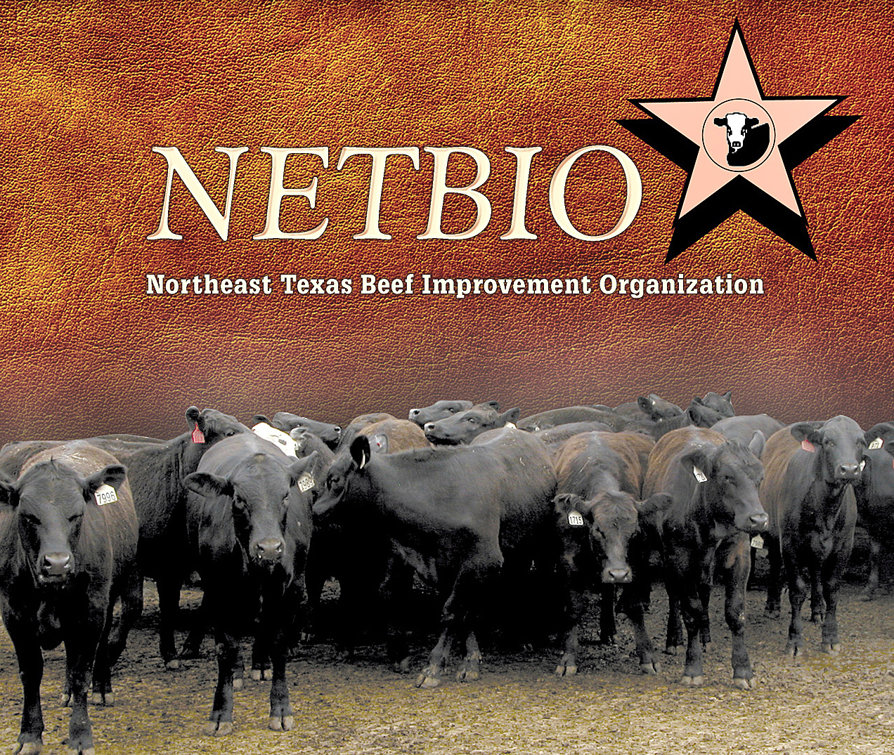 NETBIO changes sale days, weaning requirements