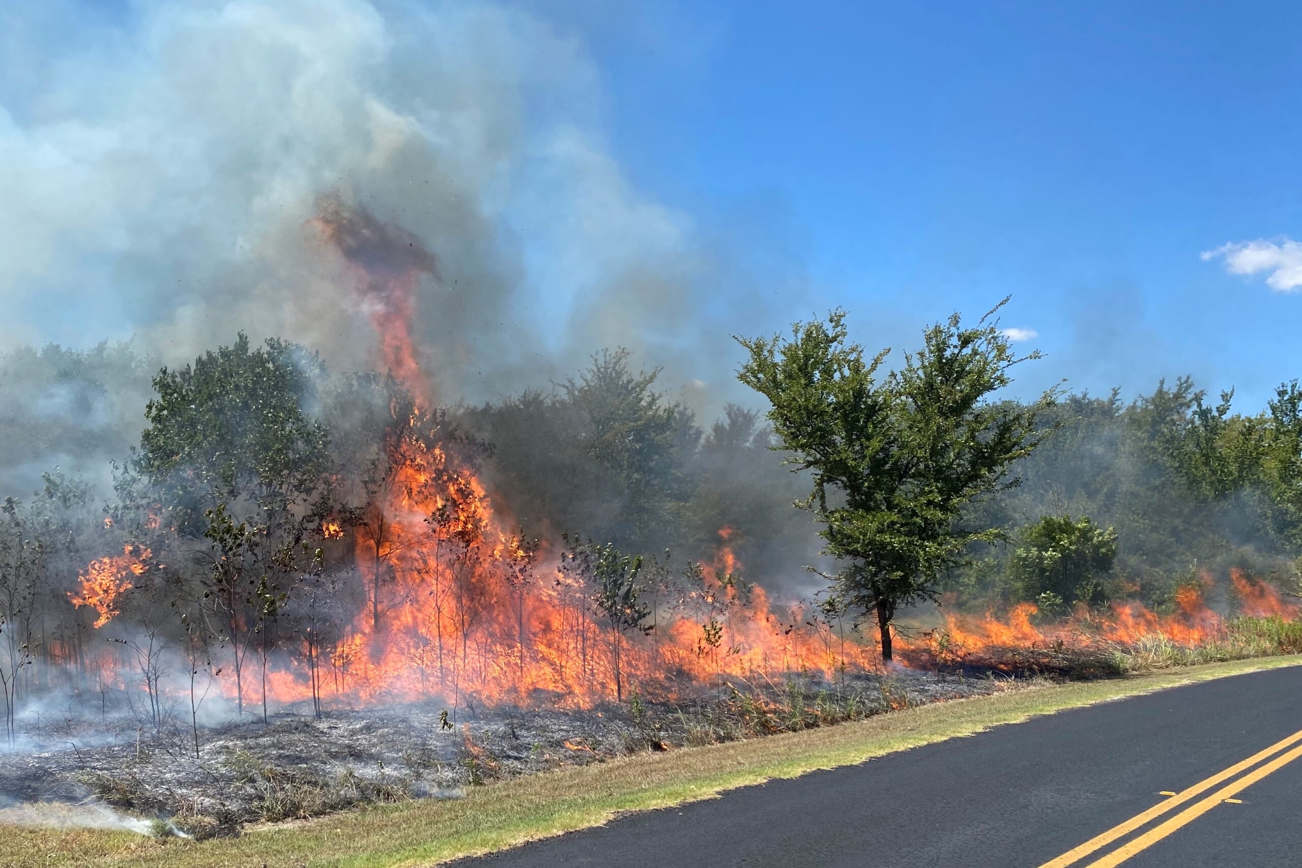 Prescribed Fire Conducted at Cooper Lake State Park during August for Habitat Enhancement