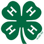 What Is 4-H All About? by Dr. Mario A. Villarino, County Extension Agent for Agriculture and Natural Resources