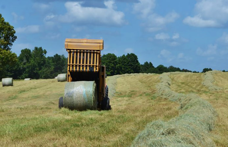 Hay-producing areas report below-average season