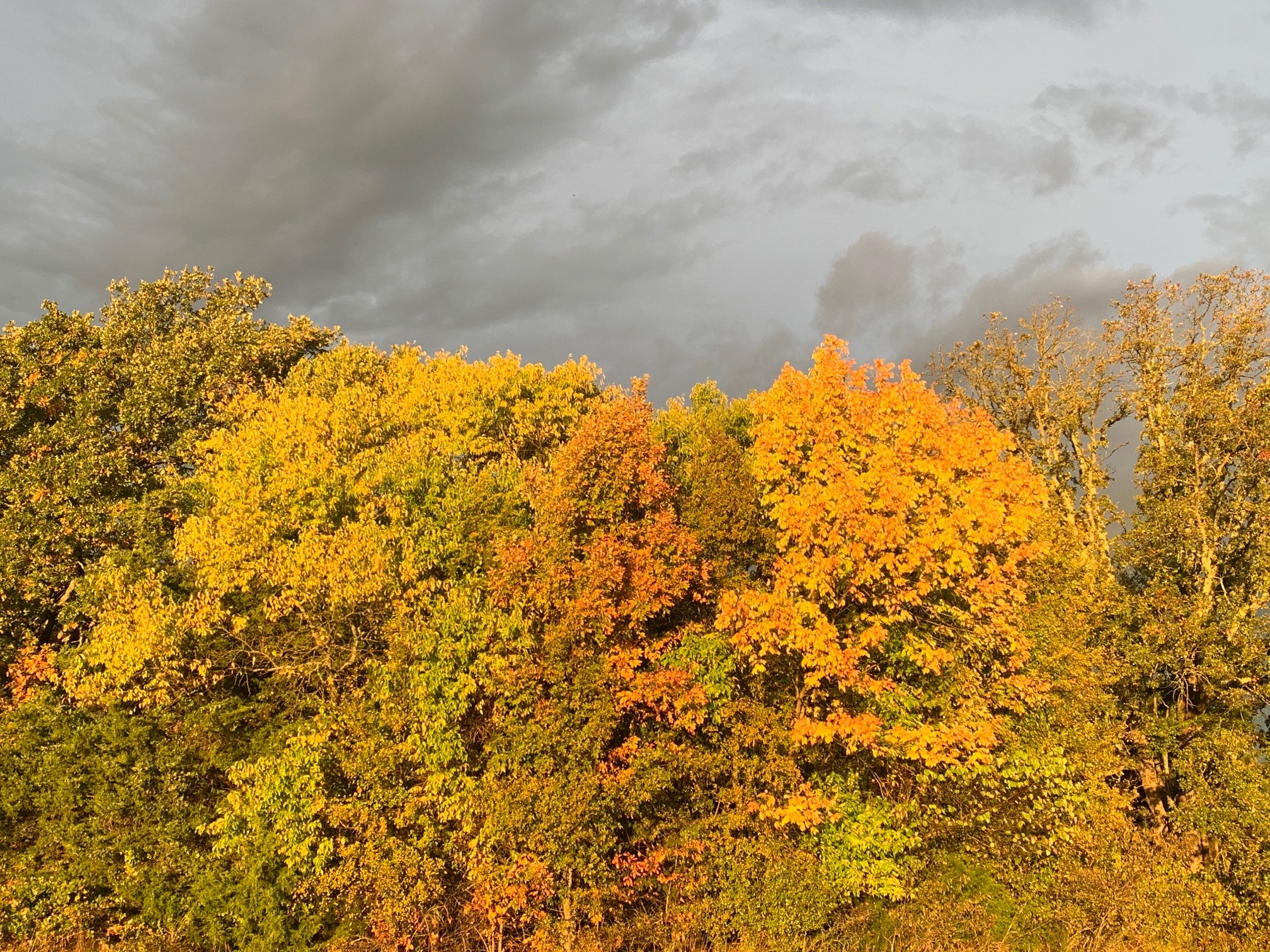 Experience Fall’s Coolness and Color at Cooper Lake State Park!