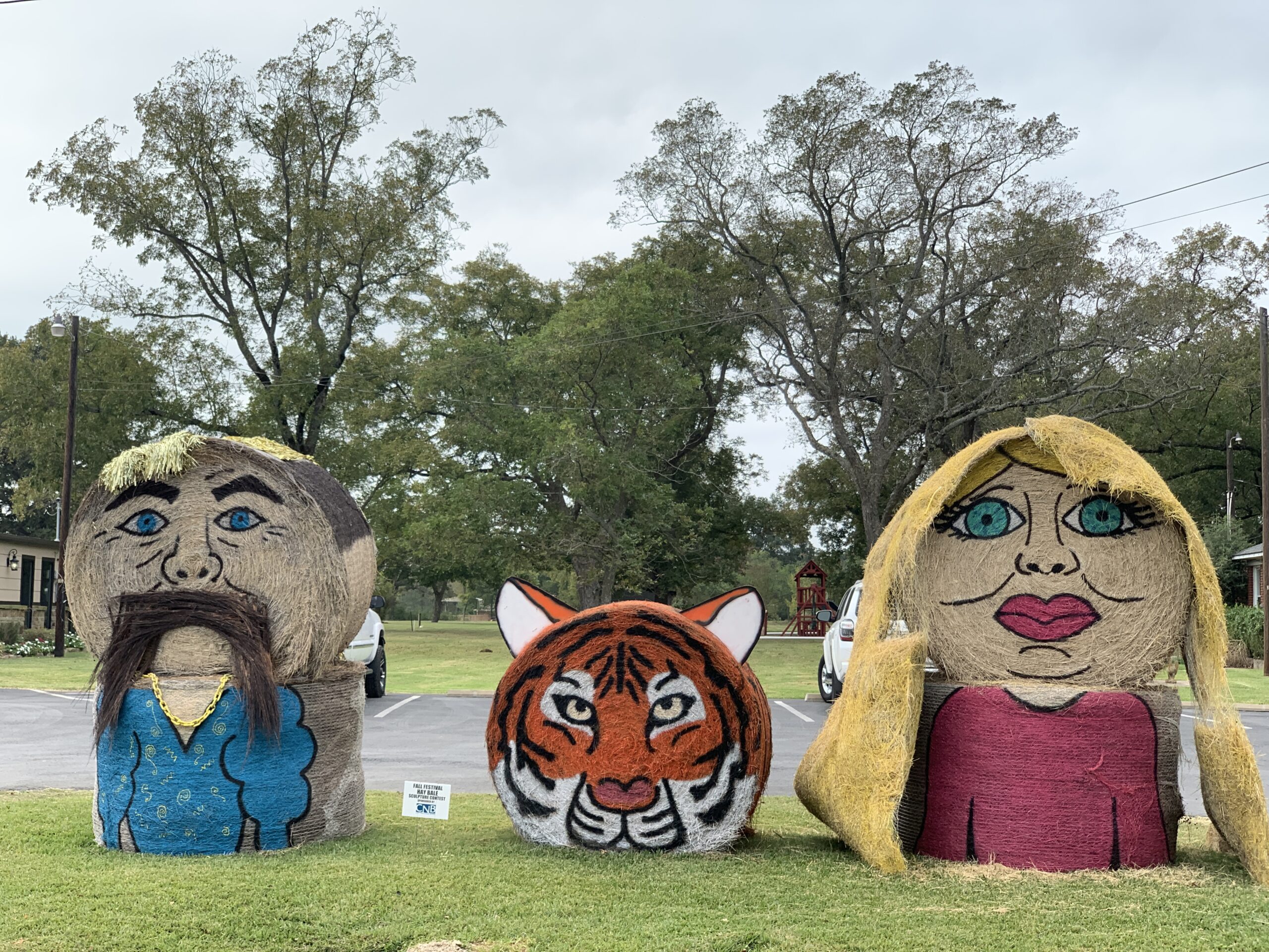 List of Entries in the 2020 Hopkins County Fall Festival Hay Bale Sculpture Contest Sponsored by City National Bank