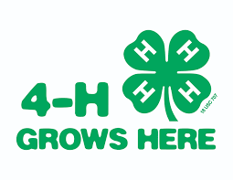 2020 Hopkins County 4-H Agricultural Plan by Dr. Mario A. Villarino, County Extension Agent for Agriculture and Natural Resources
