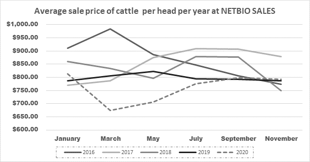 Sale price variation of pre-conditioned cattle in northeast Texas  Cooperator: Northeast Texas Beef Improvement Association by Dr. Mario A. Villarino, County Extension Agent for Agriculture and Natural Resources