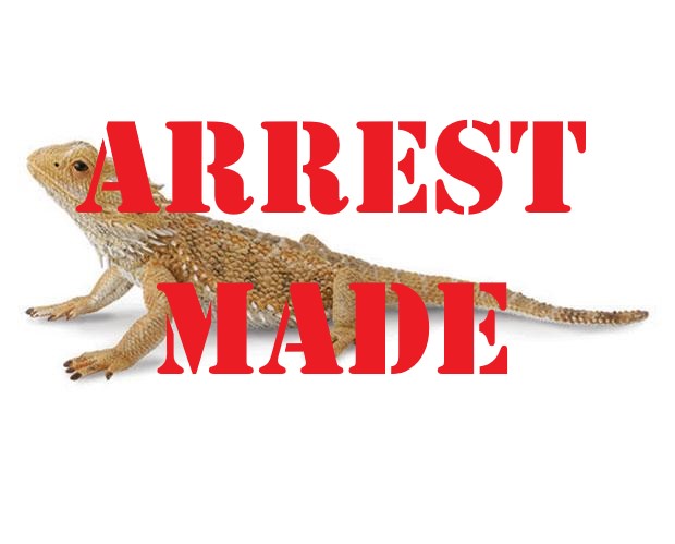 Lizard Thief Arrested by Sulphur Springs Police Department