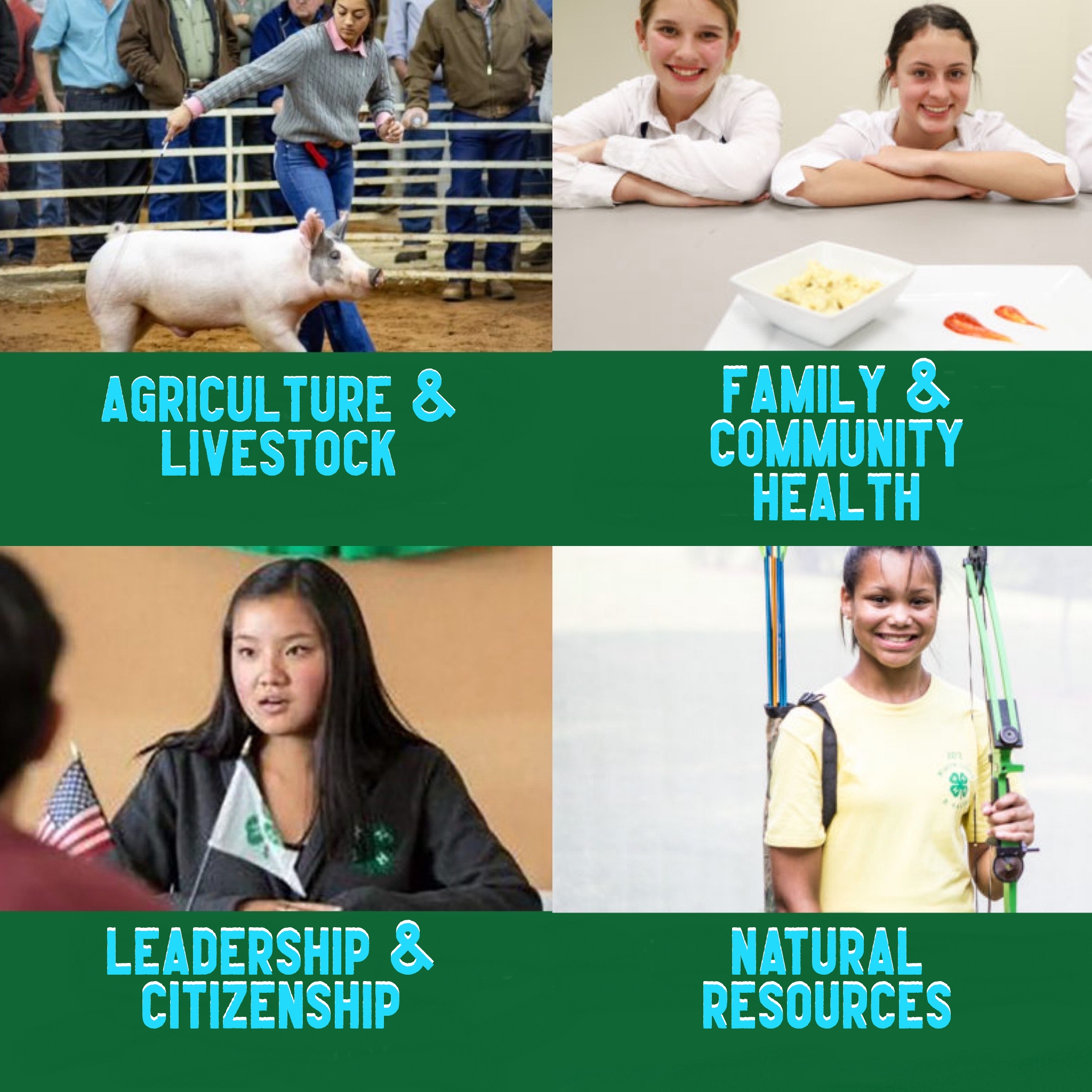4H enrollment kickoff event approaches for Hopkins