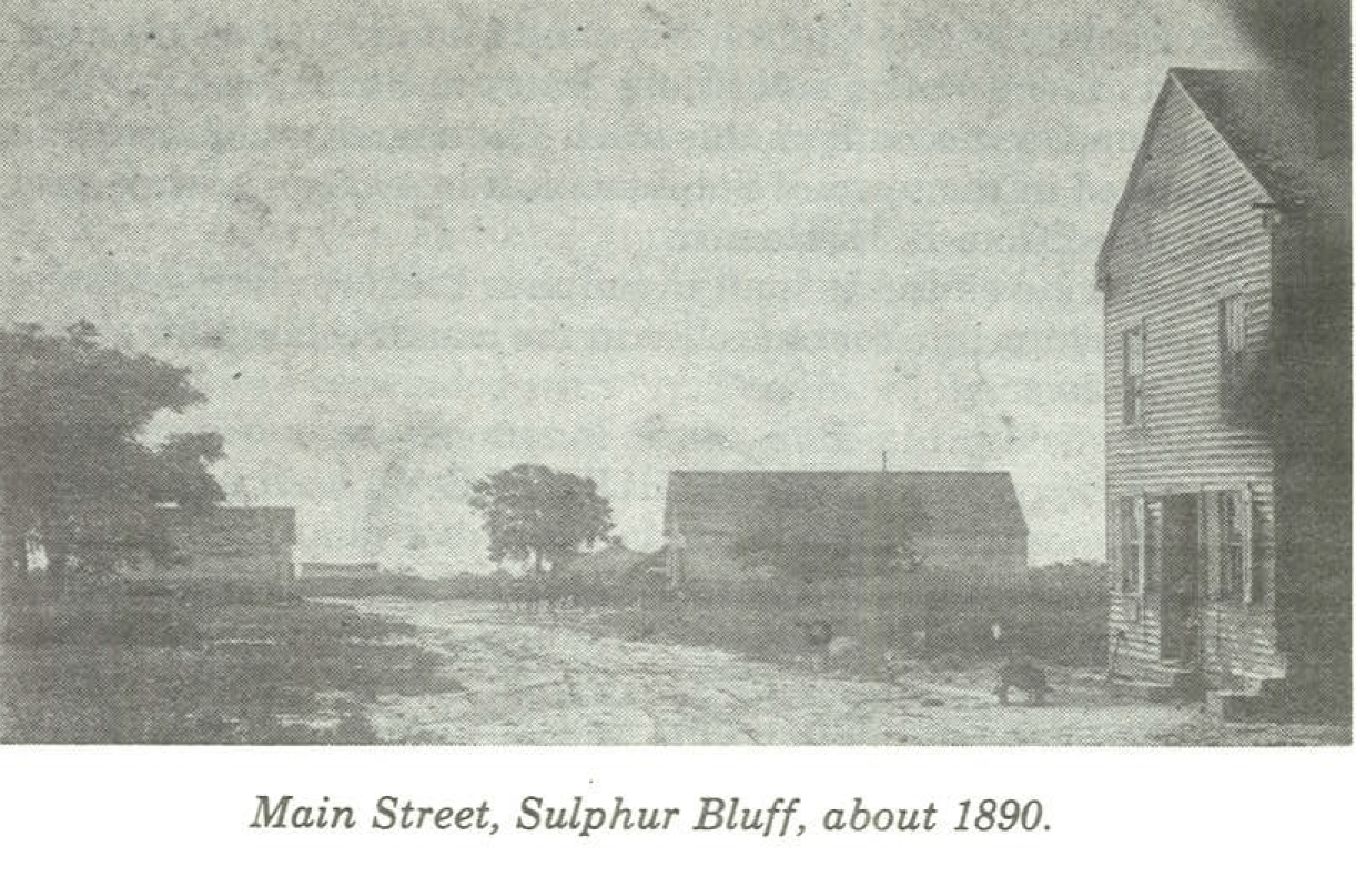 History of the first Sulphur Bluff settlement
