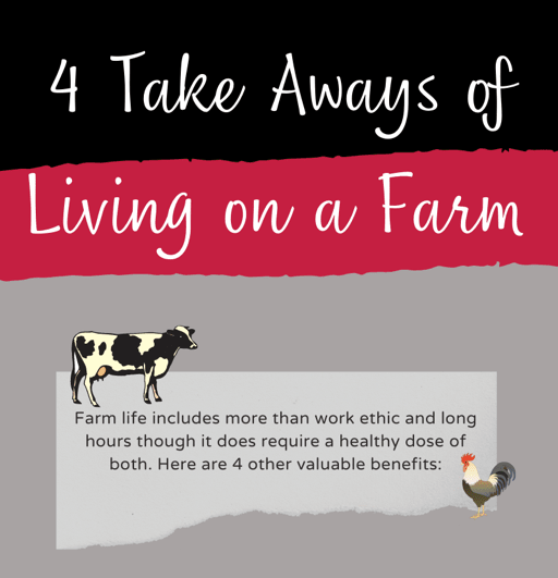4 Benefits of Living on a Farm