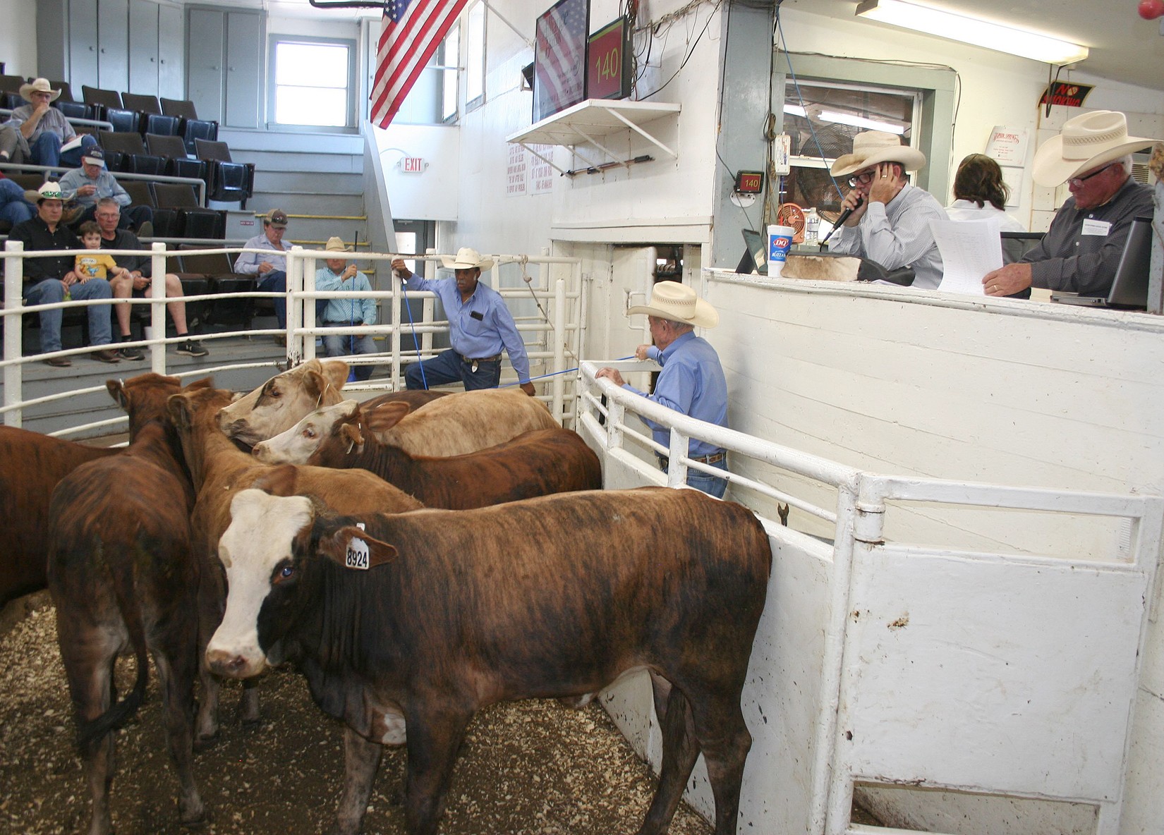 NETBIO moves 5,600 cattle during September sale