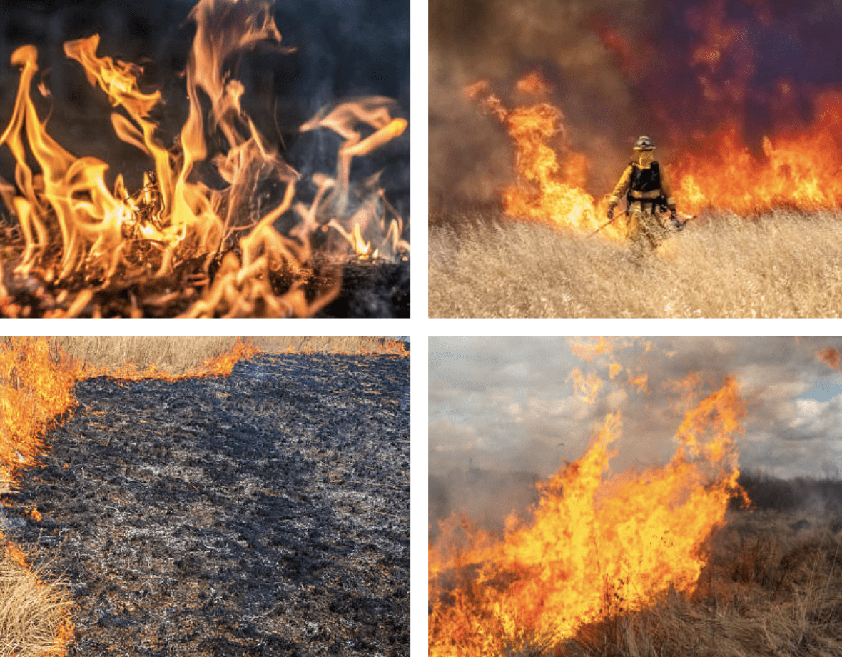 Public affairs: How to protect your home during grass fire season by Mattison Holland