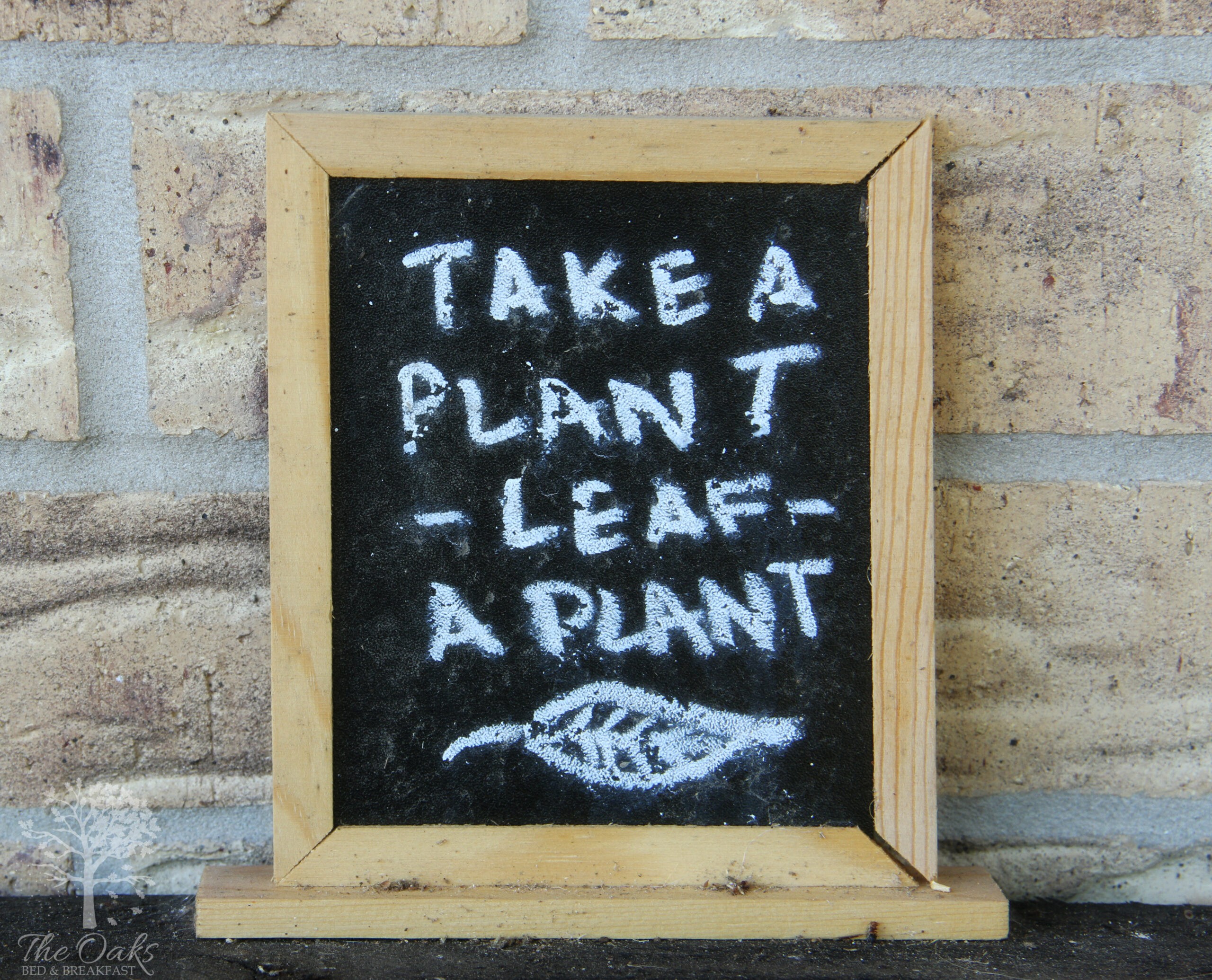 Sulphur Springs’ “take a plant, leaf a plant” installation