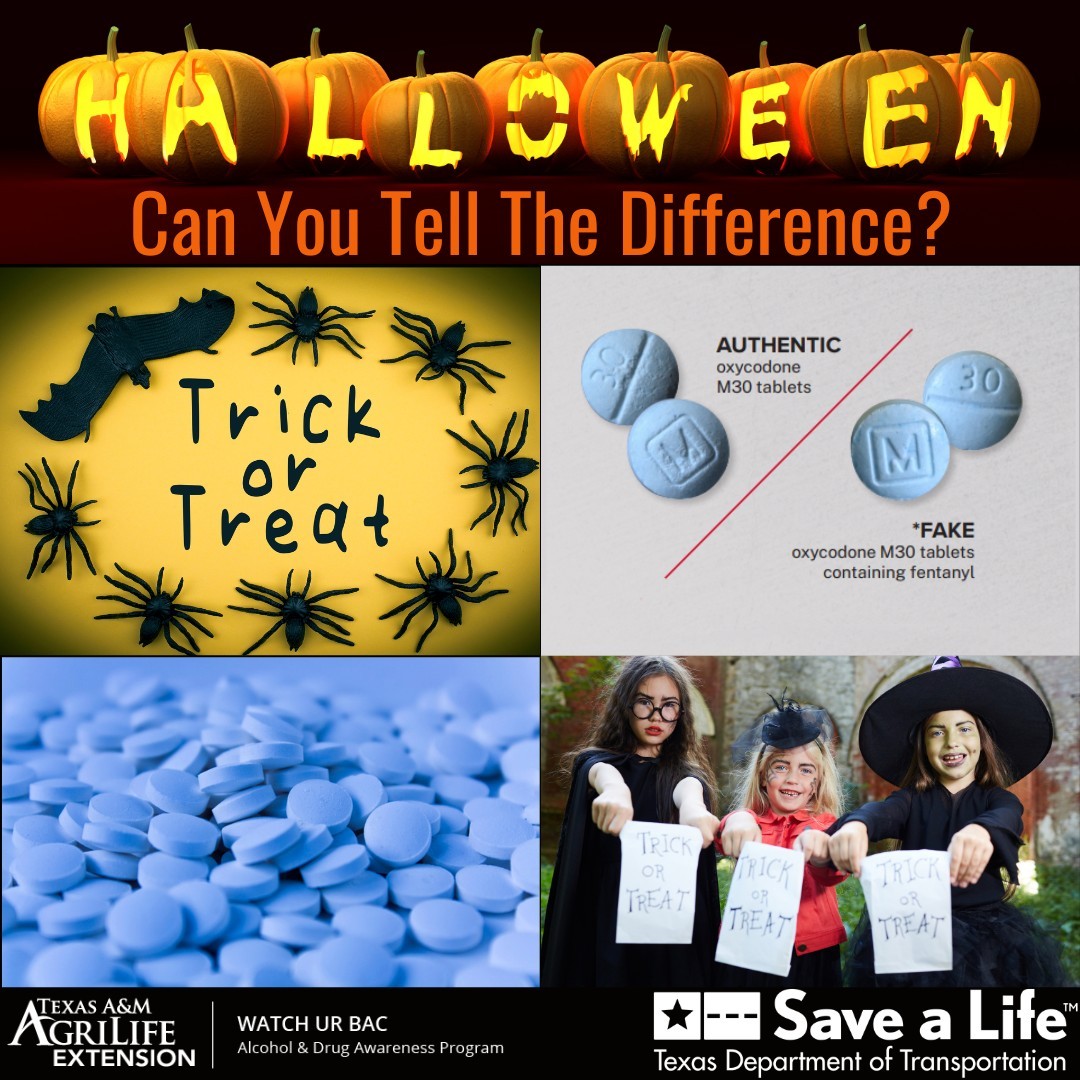 Trick-or-Treat, Do you Know the Difference? by AgriLife’s Johanna Hicks