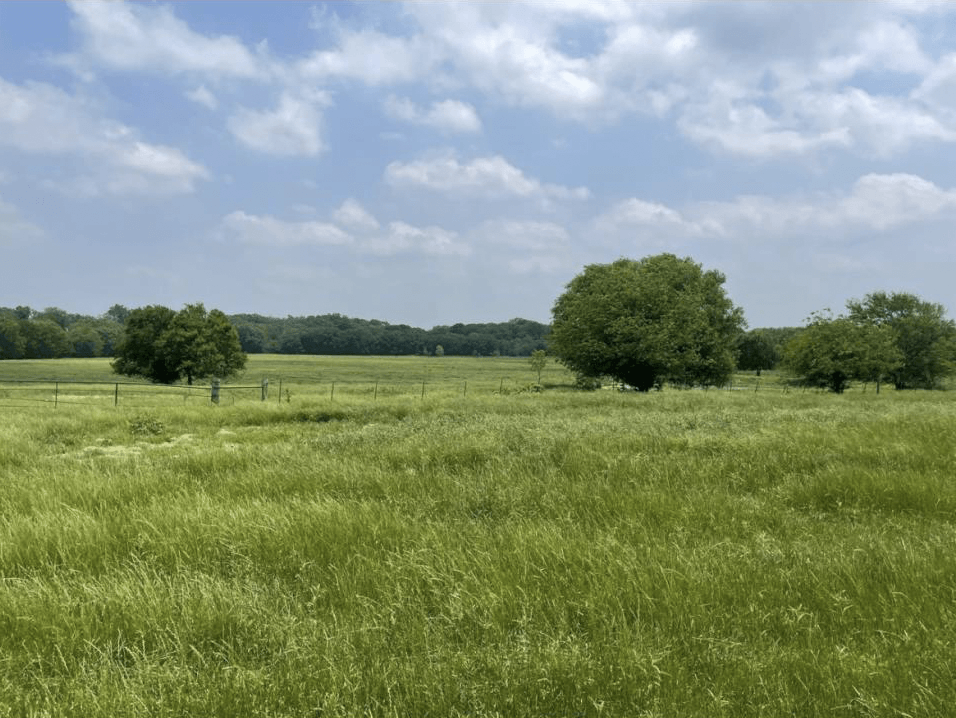 4 Imperative Areas You Need To Know Before Buying Land or Lots