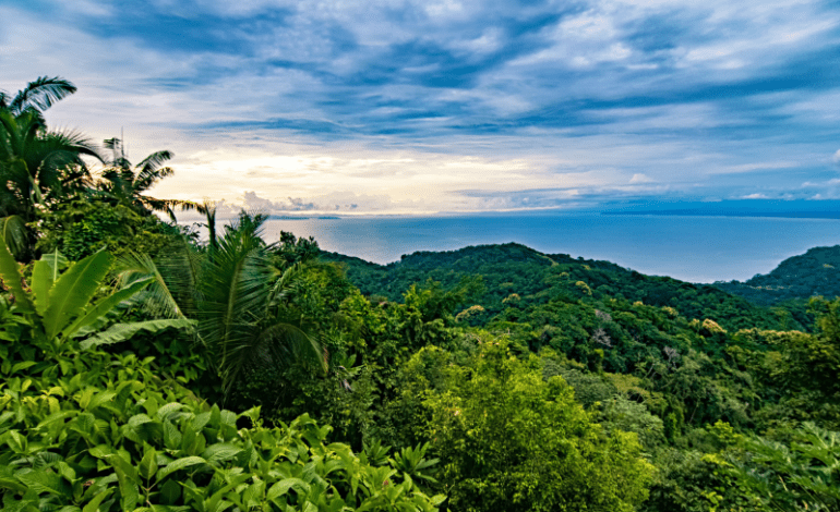 Best Costa Rica Nature Tours