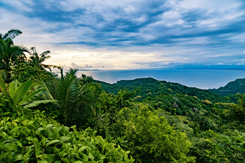 Best Costa Rica Nature Tours
