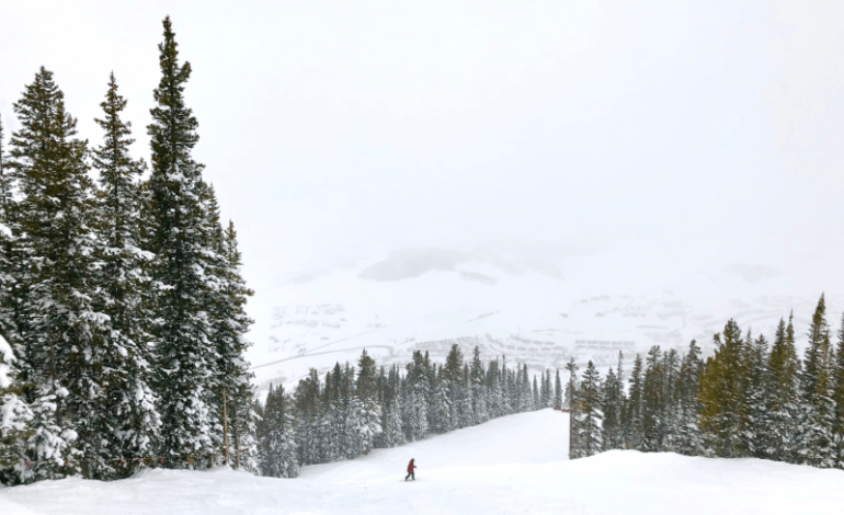 Why You Should Make Crested Butte Your Next Vacation