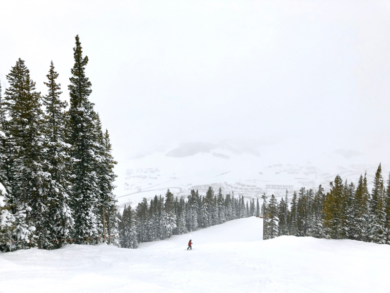 Why You Should Make Crested Butte Your Next Vacation