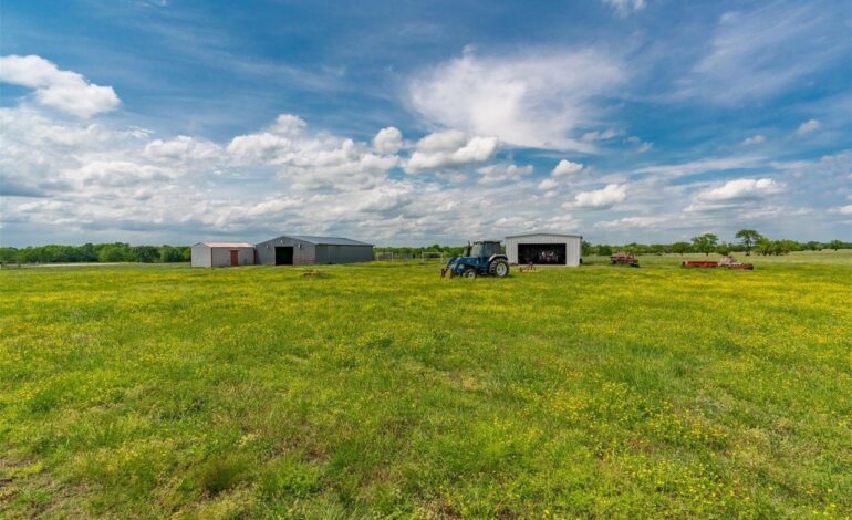 4 Ways Ranching Helps You Be A Better Real Estate Agent