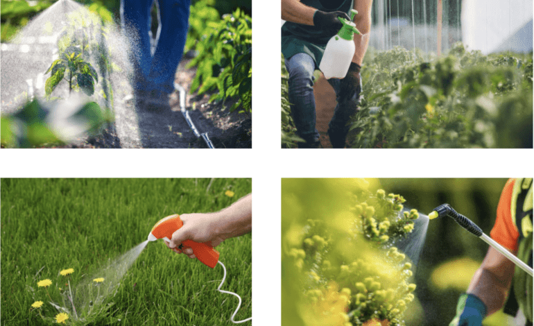 Selecting the best herbicide by AgriLife’s Mario Villarino