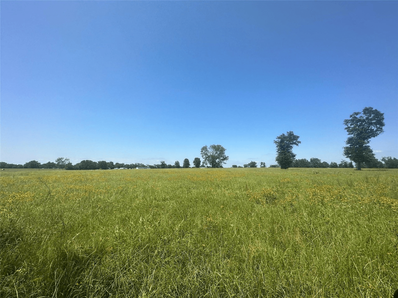 Grassy Acreage 13-Acre Tracts Just Came on the Market
