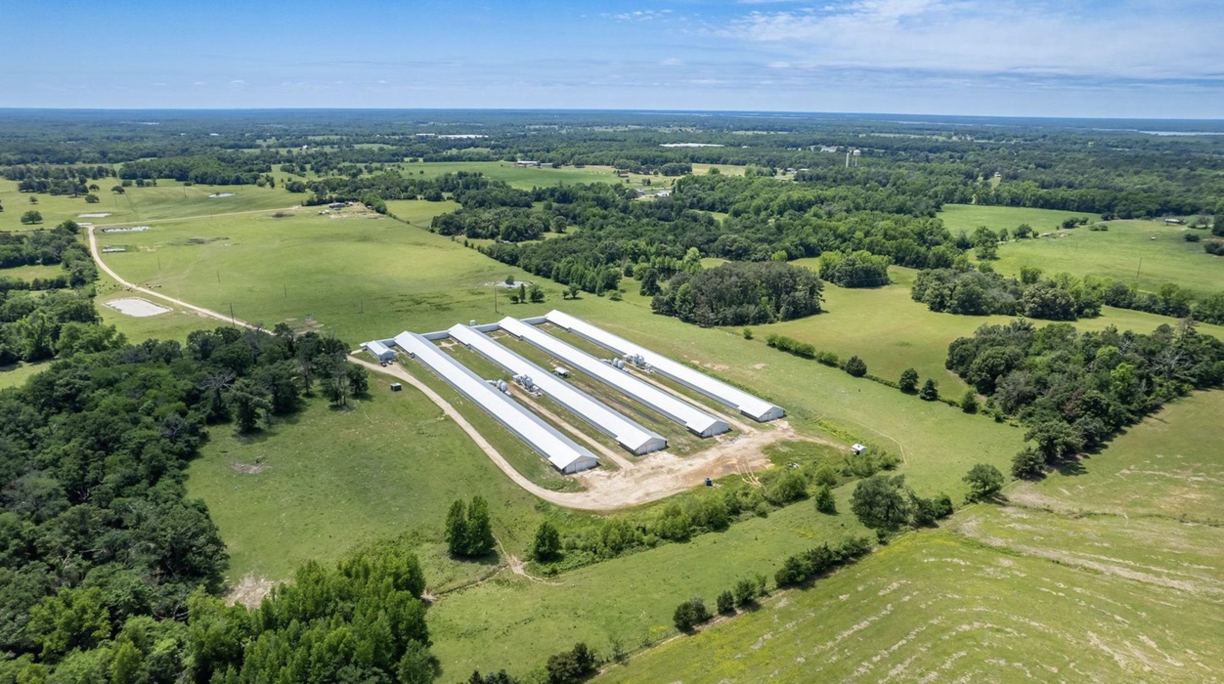 Fully Operating Breeder Operation with Houses Built in 2017 & 71 Acres For Sale