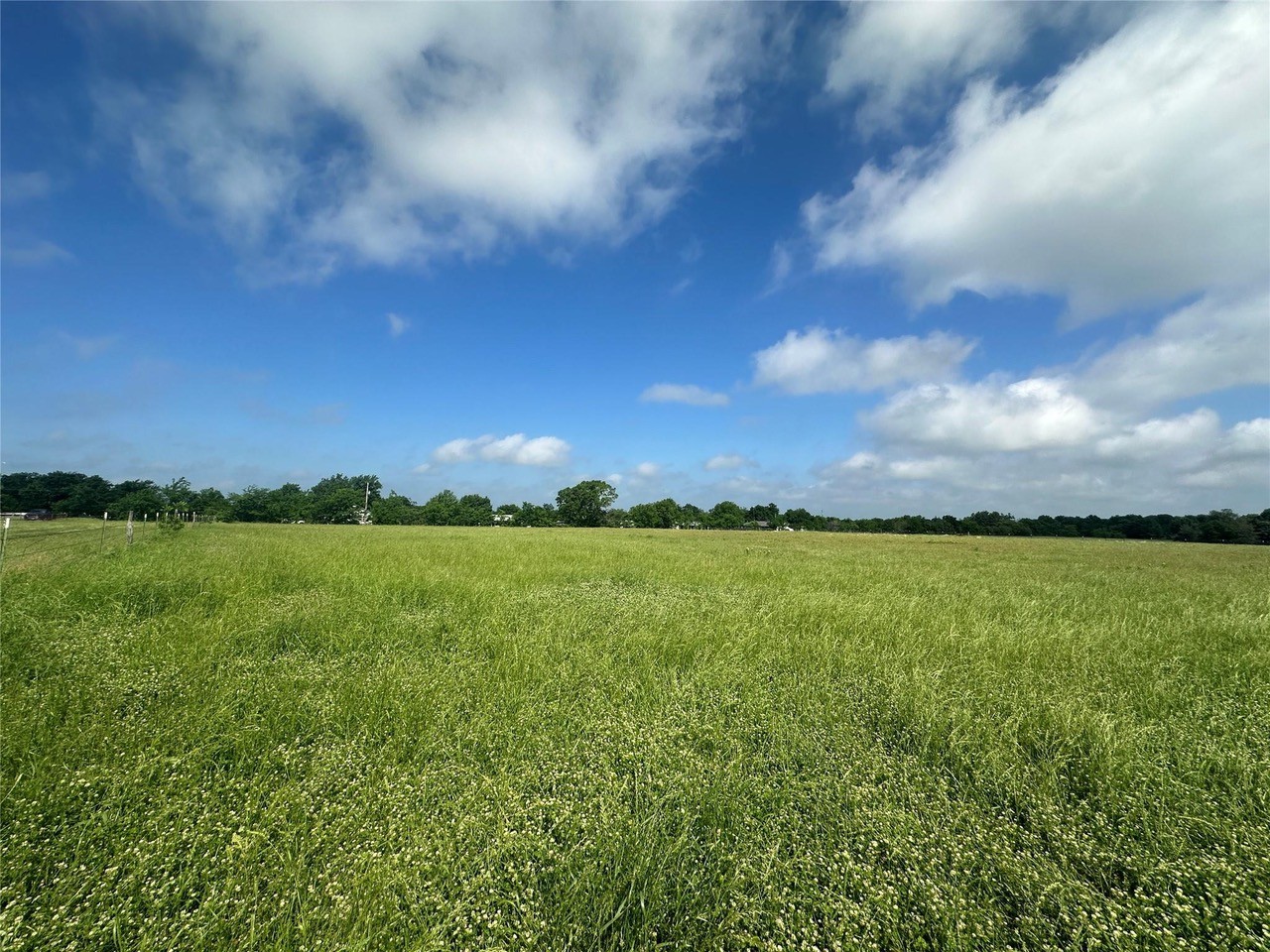 Build a House on one of 3 Lots with Acreage in Rains County