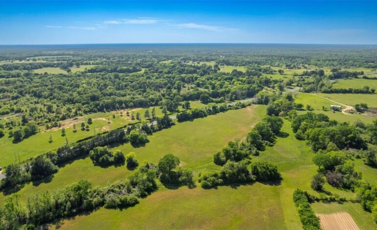 Unrestricted 20 Acres with Highway Frontage in Como-Pickton ISD Hits the Market