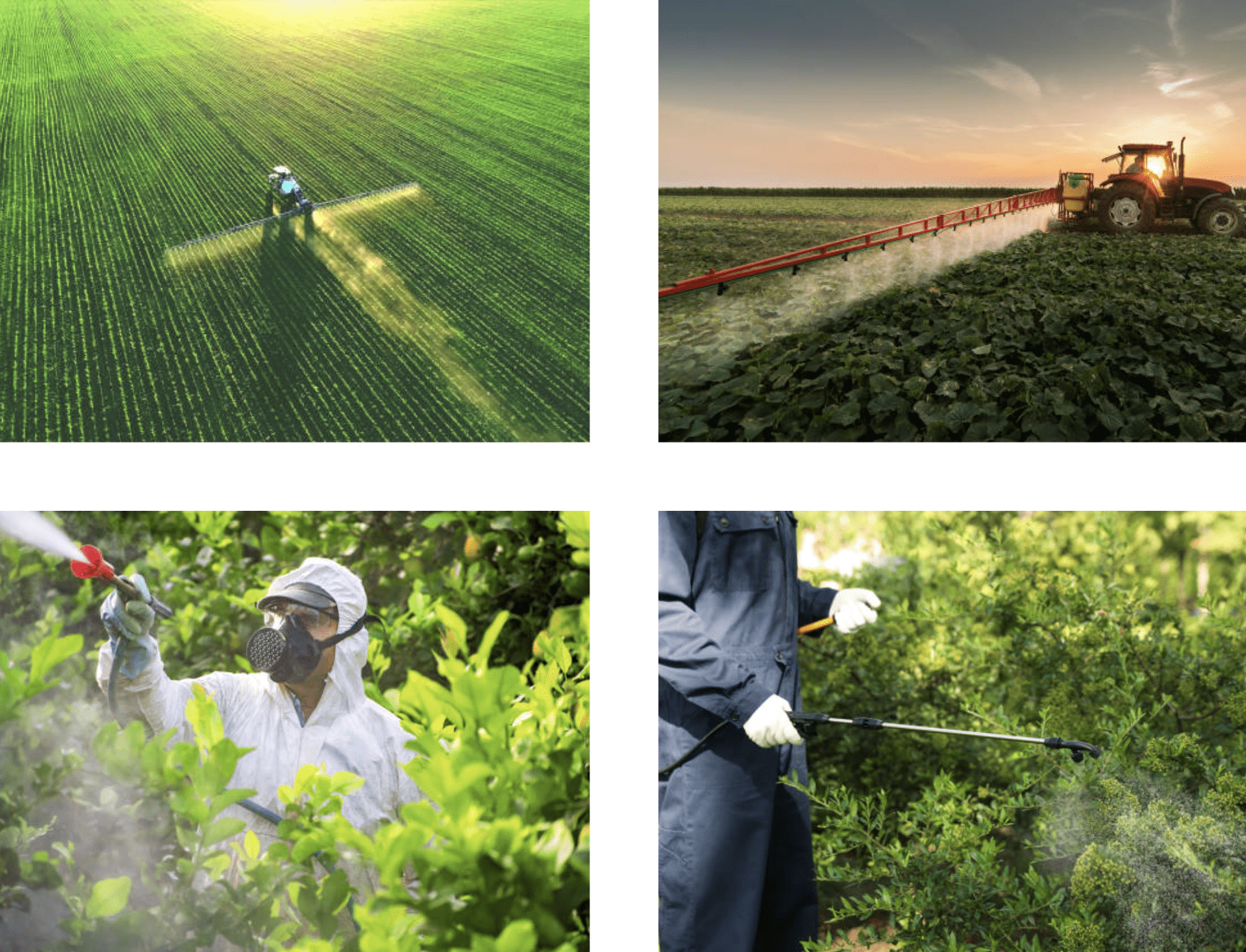 FAQ: Private pesticide applicator’s license by AgriLife’s Mario Villarino