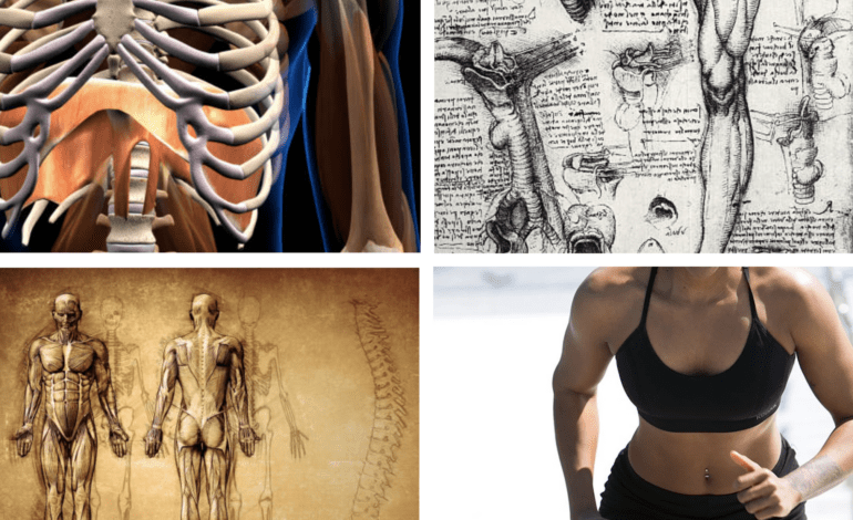 Where should you start with core strengthening? by Dr. Hailey Jackson