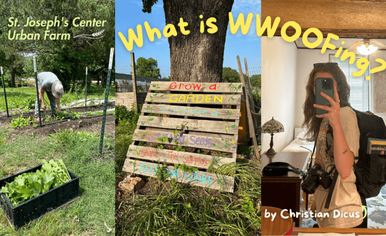 What is WWOOFing? Learn about sustainable farming during your next vacation.
