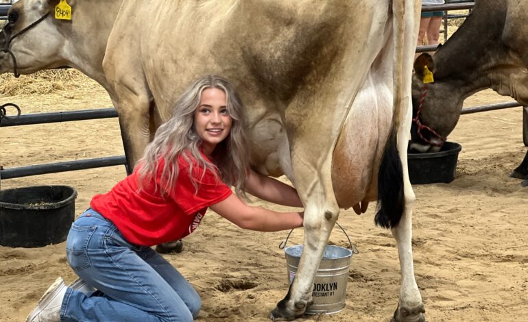 Jr. Dairy Show 2023 Coming Up