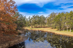 wooded-land-with-pond-for-sale