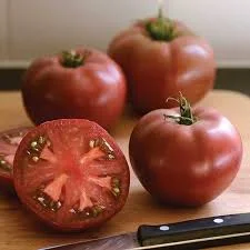 Life’s Flavors ~ GMO Tomatoes, Yes or No? By Allison Libby-Thesing